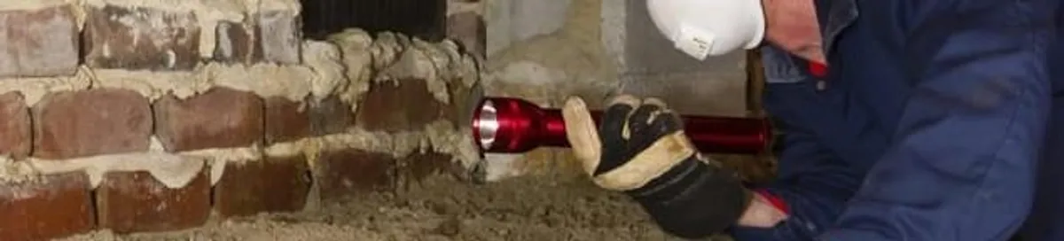 Pest control technician inspecting a crawl space for ant activity and entry points in Madison, WI