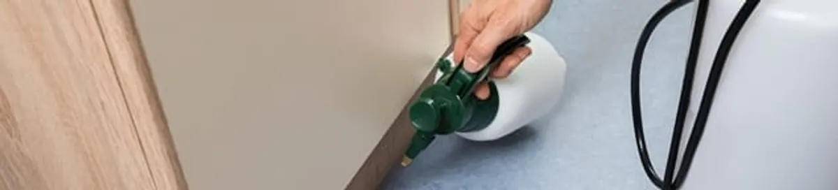 Bed bug exterminator treating baseboards and cracks with targeted spray in Madison, WI