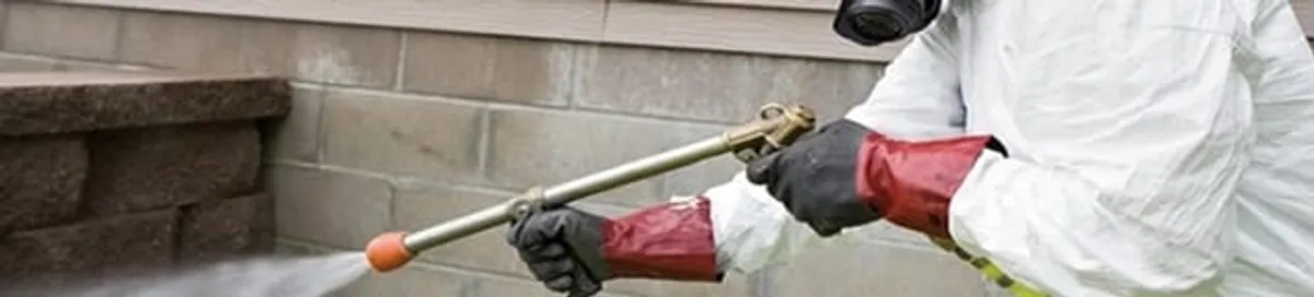 Pest control technician applying exterior insect treatment along a home foundation in Madison, WI