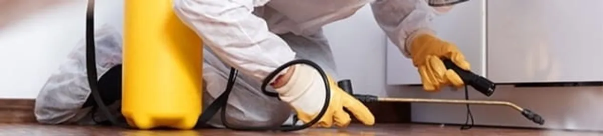 Roach exterminator treating cracks and crevices along kitchen baseboards in Madison, WI