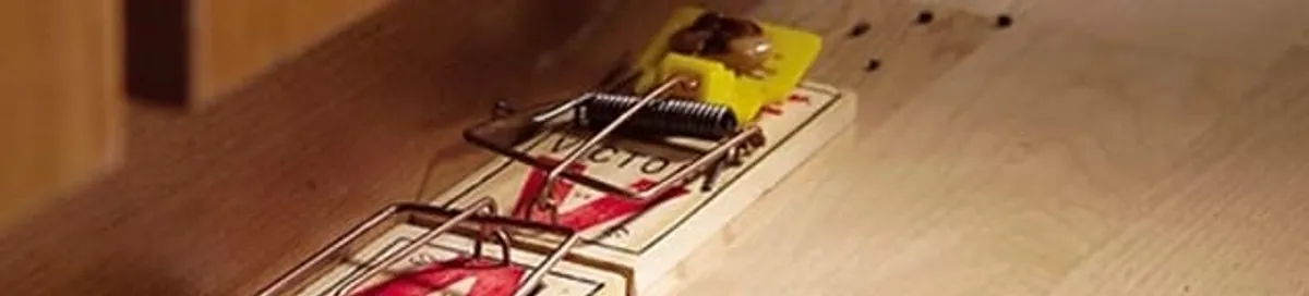 Rodent trap set indoors for rodent control and prevention in Madison, WI